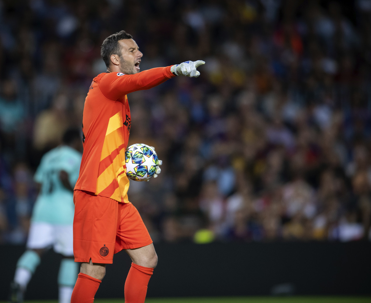 国外类似的 国外类似的