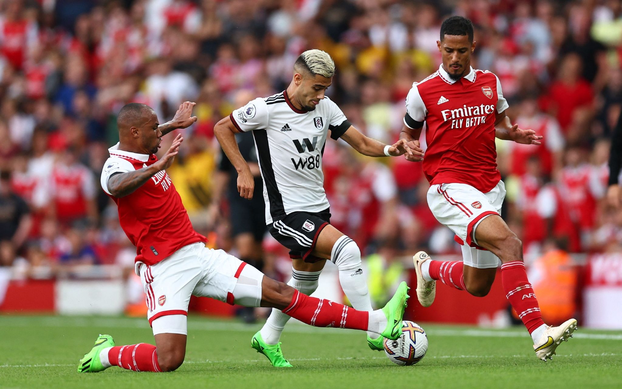 进行了详细 进行了详细