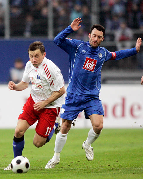 迷们欢呼 迷们欢呼